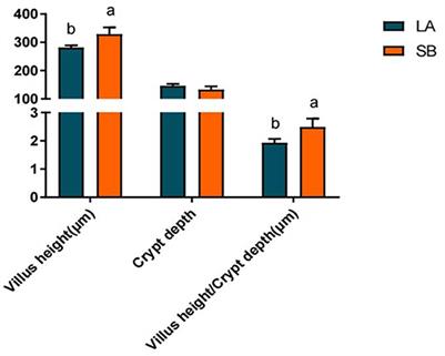 Correlation analysis between jejunum metabolites and immune function in Saba and Landrace piglets